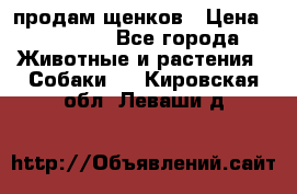 продам щенков › Цена ­ 15 000 - Все города Животные и растения » Собаки   . Кировская обл.,Леваши д.